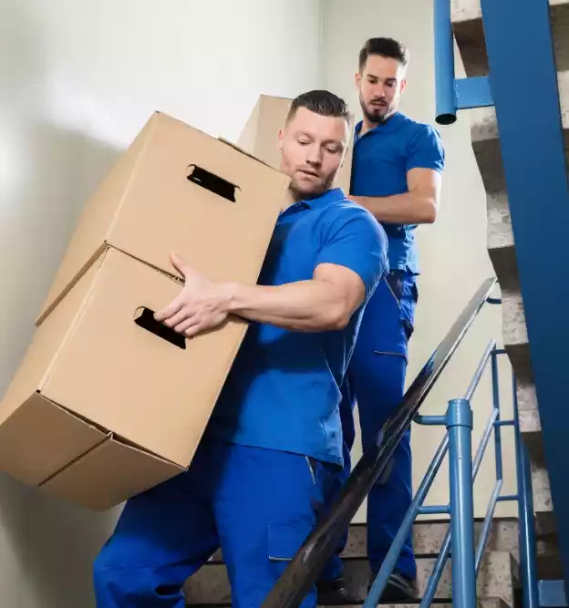 Office Movers In Dubai